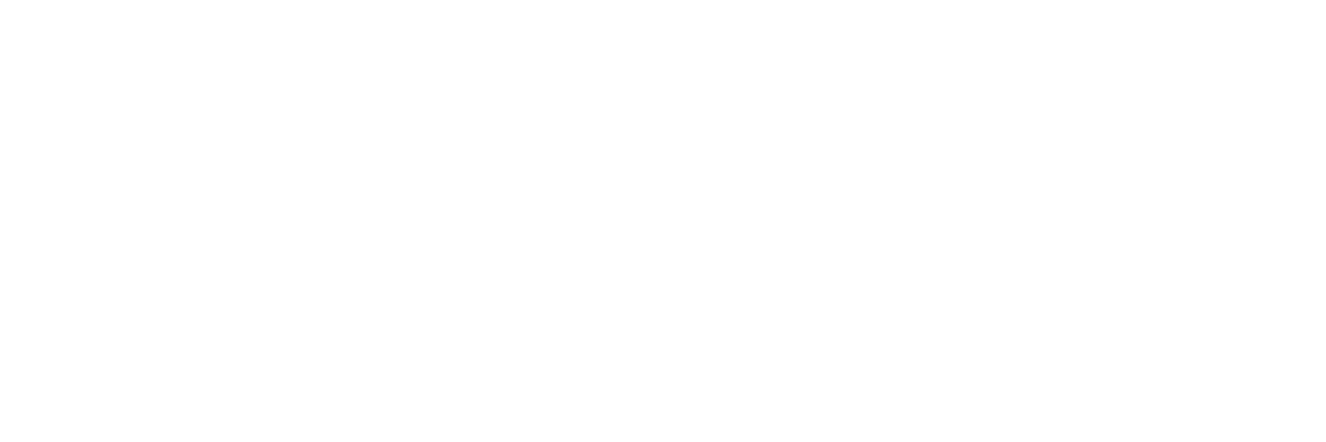 Flex Energy